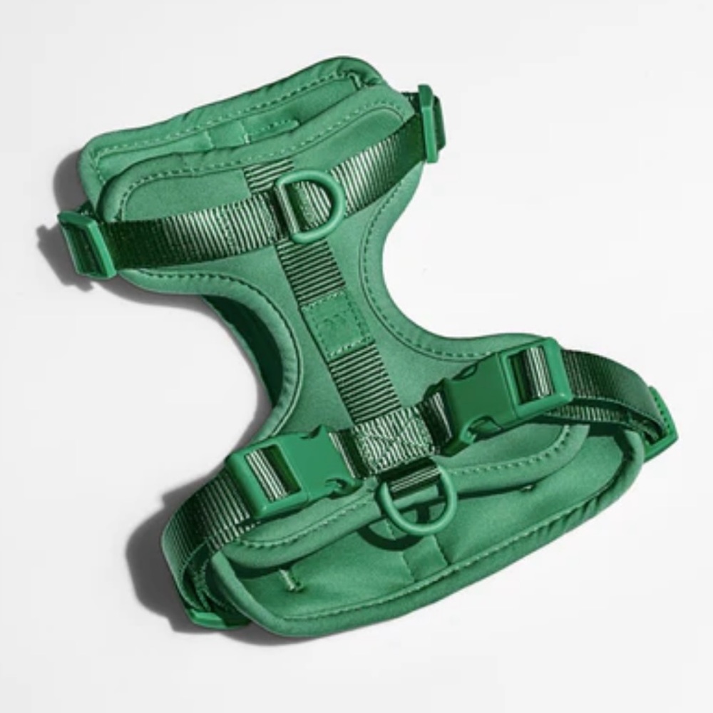 WILD ONE Spruce Green Dog Harness - XS